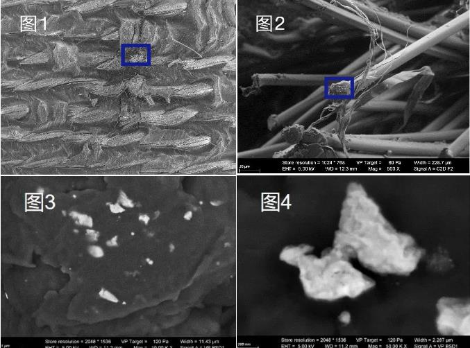 湘西蔡司湘西扫描电镜