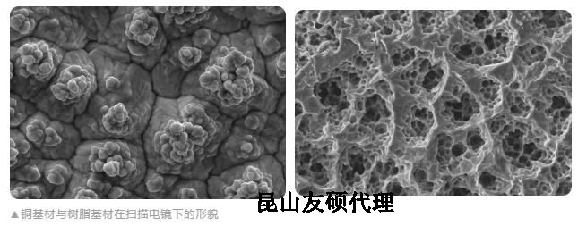 湘西蔡司湘西扫描电镜