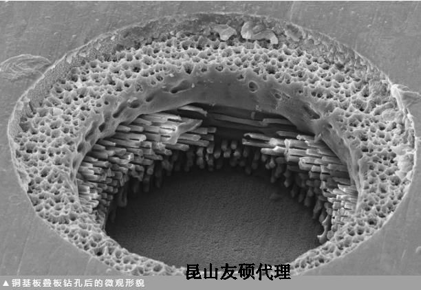 湘西蔡司湘西扫描电镜